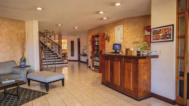 Buena Vista Chic Hotel