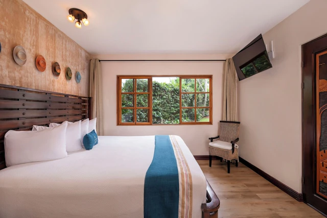 Buena Vista Chic Hotel