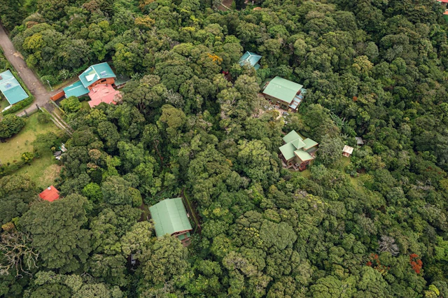 Cala Lodge
