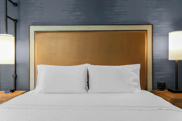 Hampton Inn & Suites Austin Downtown