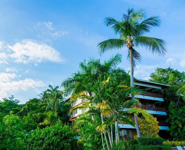 Hotel Costa Verde