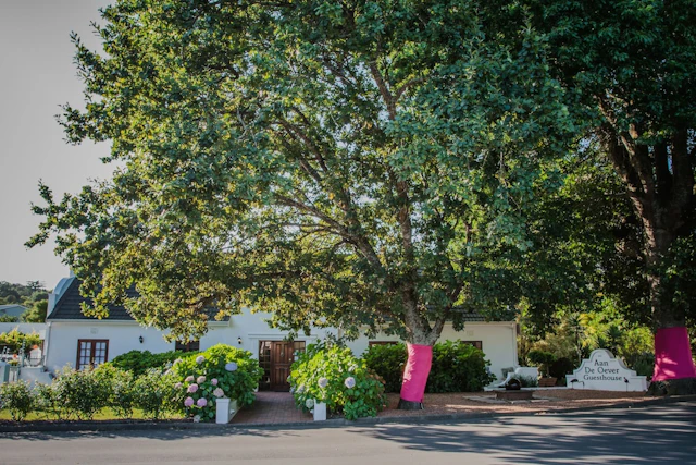 Aan de Oever Guesthouse