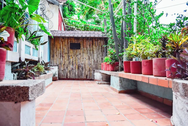 Aluna Hostel B&B