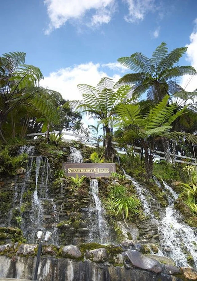 Strawberry Park Resort