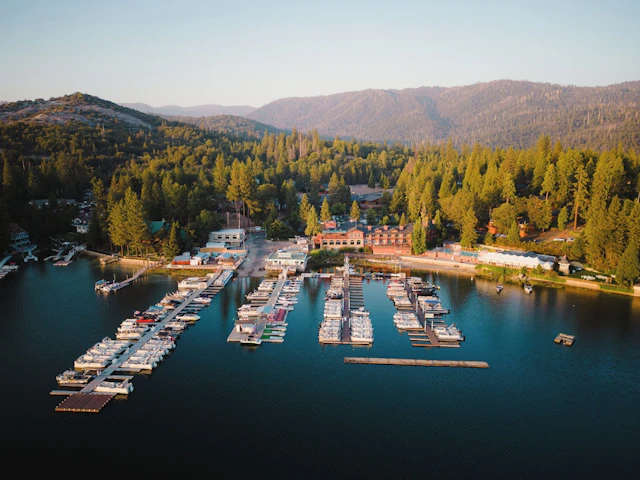 The Pines Resort