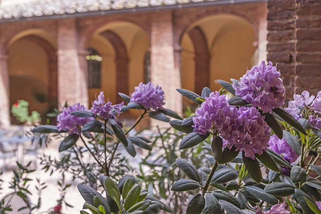 Il Chiostro del Carmine