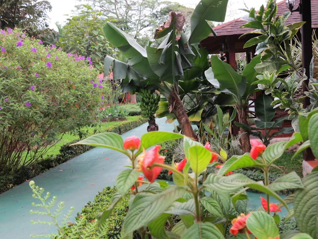 Arenal Montechiari Hotel