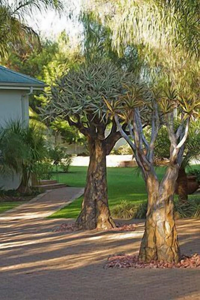 Hlangana Lodge