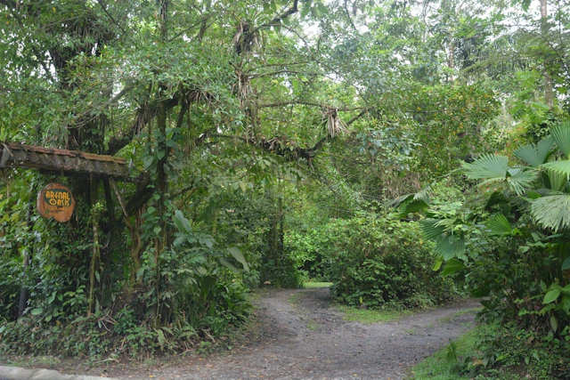 Arenal Oasis
