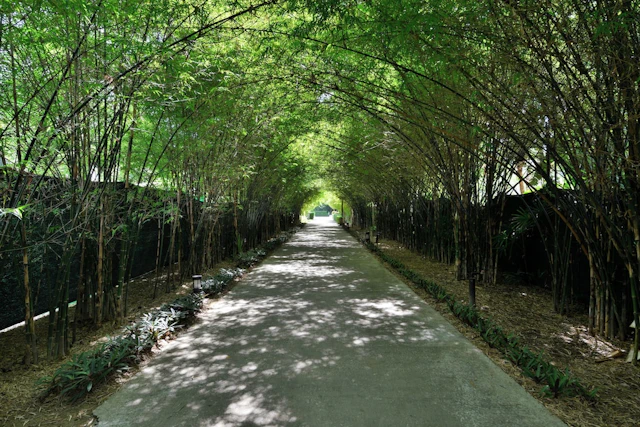 Twin Lotus Resort and Spa (Adult Only / November to April)