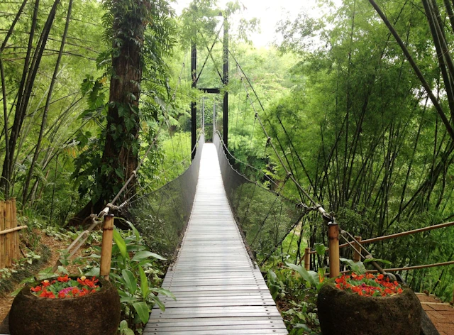 Four Seasons Tented Camp Golden Triangle