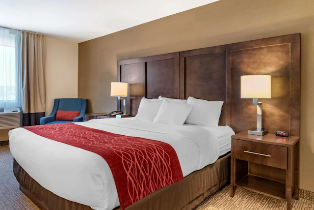 Comfort Inn Williamsport