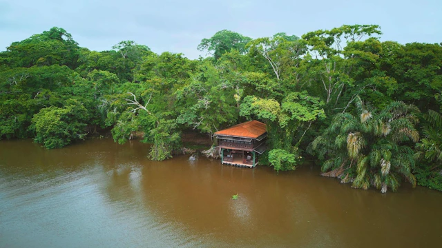 Evergreen Lodge