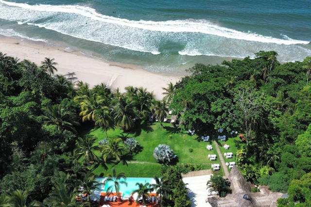 Le Cameleon Puerto Viejo