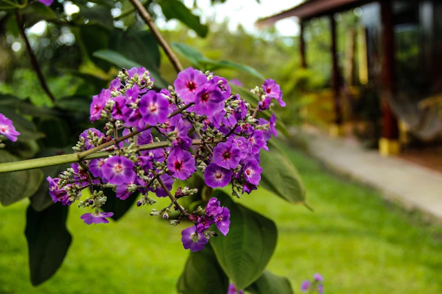 Catarata Eco-Lodge
