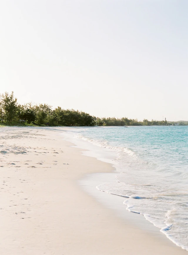 Paradise Bay