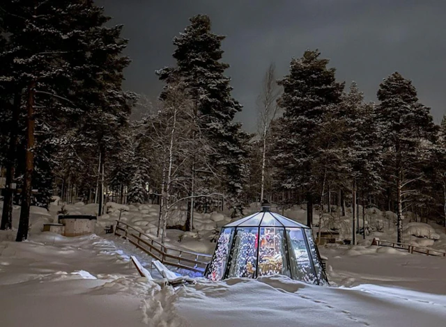 Invisible Forest Lodge