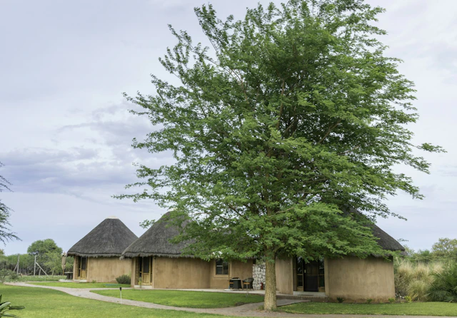 Onguma Bush Camp