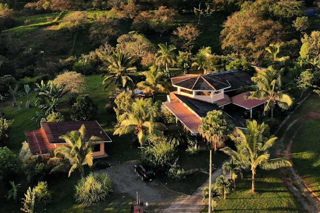 Finca Buena Vista