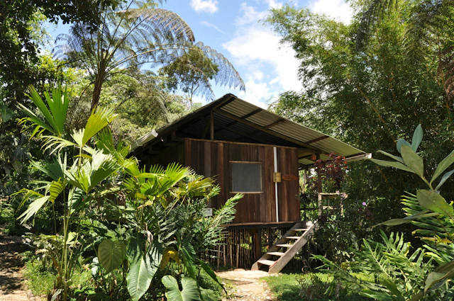 Hakuna Matata Amazon Lodge