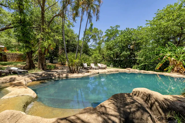Gecko Lodge