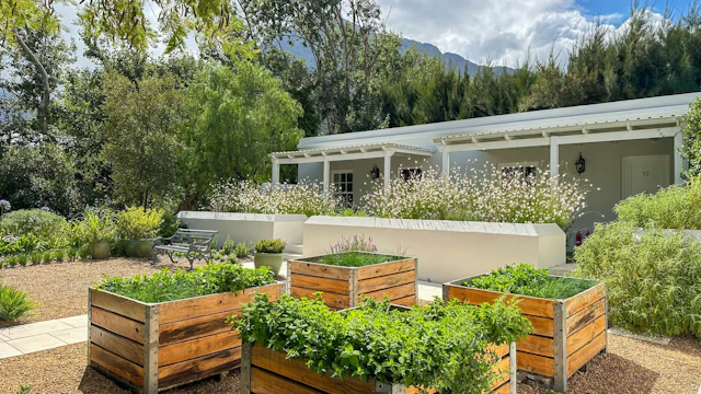 Lavender Farm Guesthouse