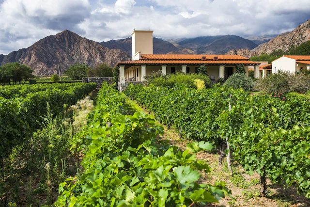 Viñas de Cafayate Wine Resort