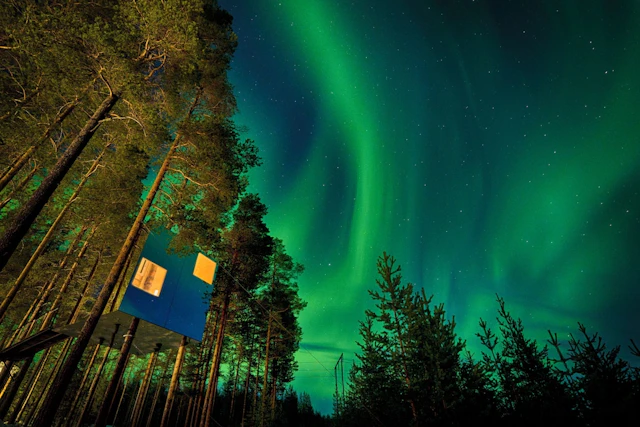 Tree Hotel