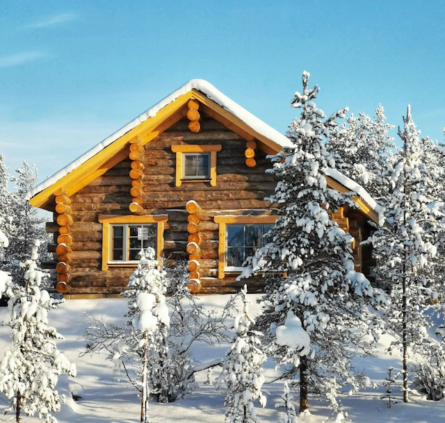 Wilderness Hotel Muotka & Igloos