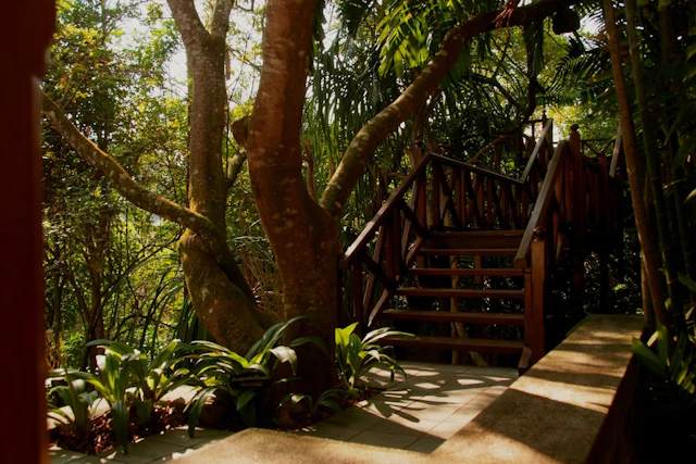 Jetwing Saman Villas, A Luxury Reserve - Adults Only