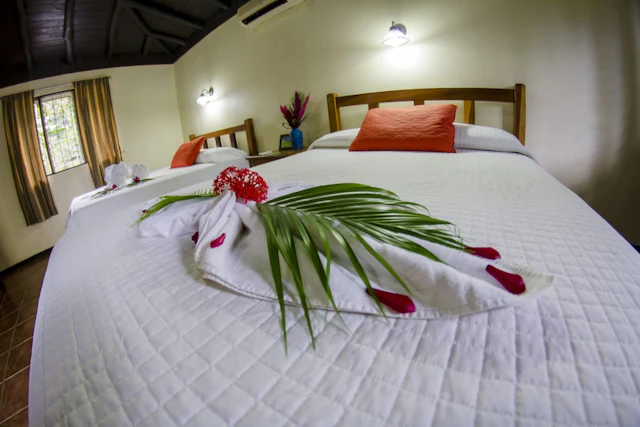 Canon de La Vieja Lodge