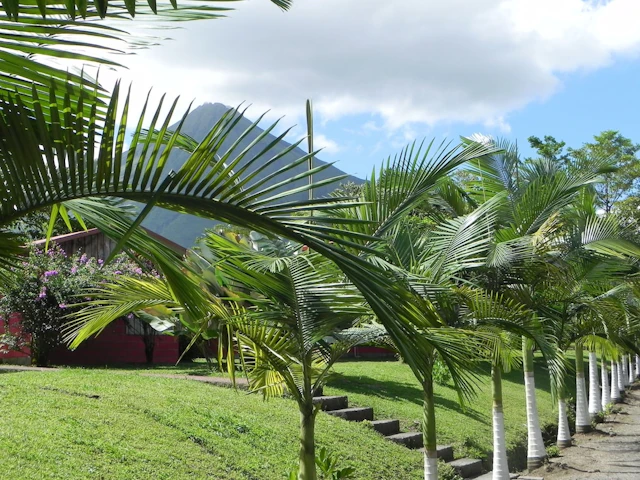 Hotel Faro Arenal
