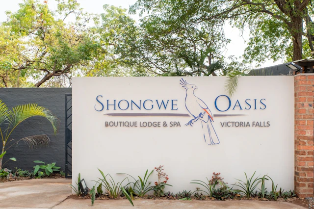 Shongwe Oasis