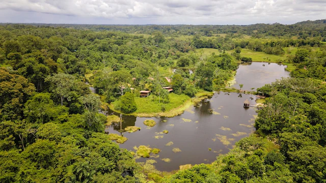 Maquenque Lodge