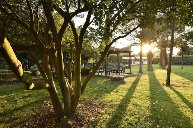 Park Hotel Marinetta