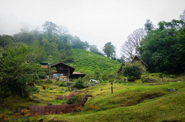 Tree Trek Boquete Adventure Park