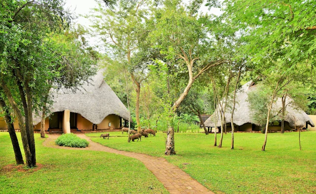 Lokuthula Lodges