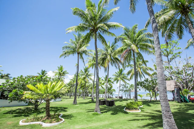 Lomani Island Resort & Spa
