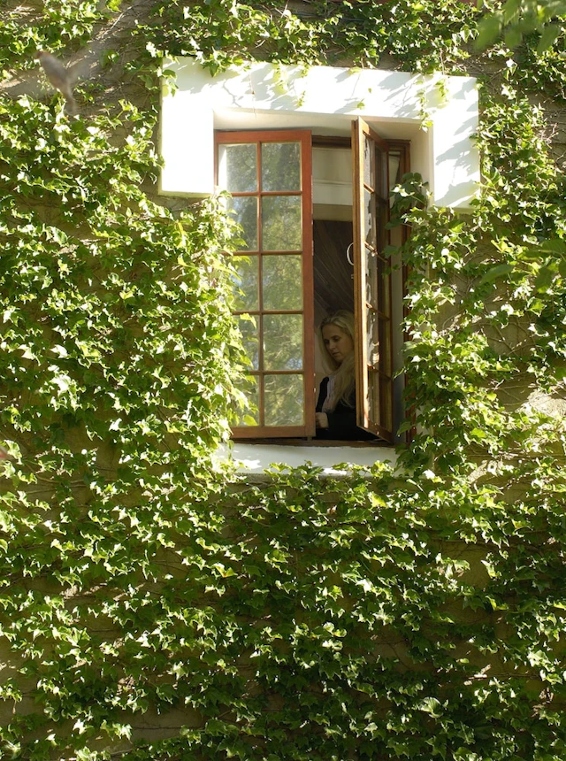 Heinitzburg Boutique Hotel