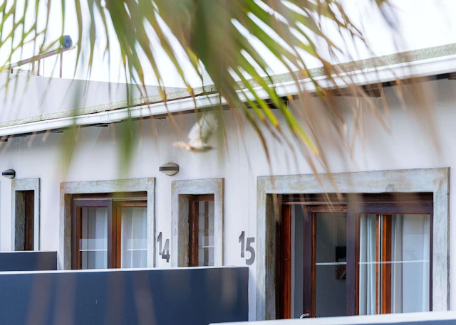 Organic Stay Guesthouse