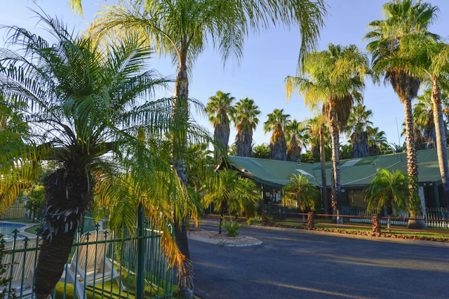 Desert Palms Alice Springs