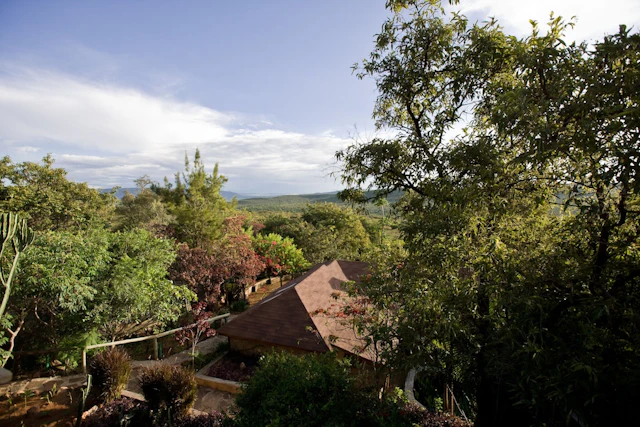 Masai Mara Sopa Lodge