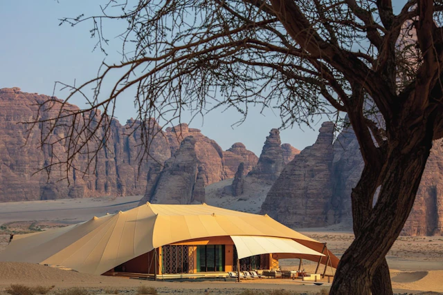 Banyan Tree AlUla