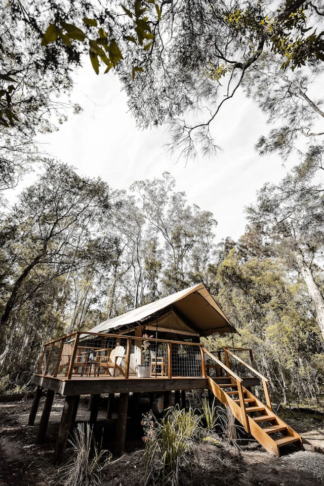 Paperbark Camp