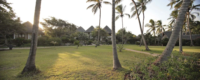Bluebay Beach Resort & Spa