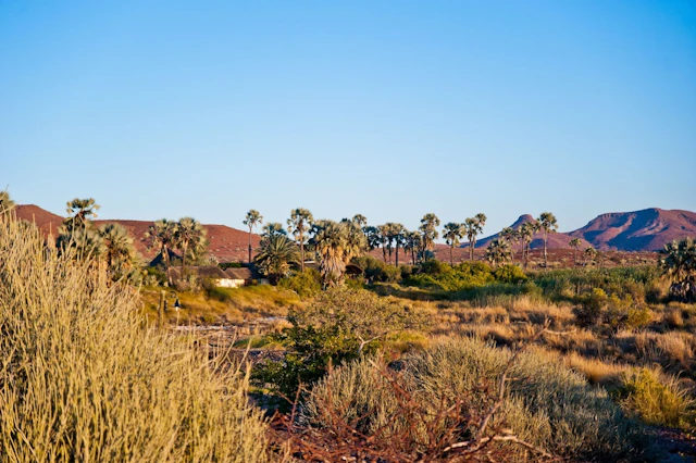 Palmwag Lodge