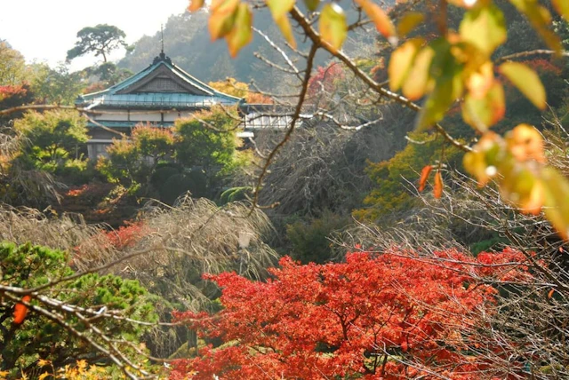 Mikawaya Ryokan