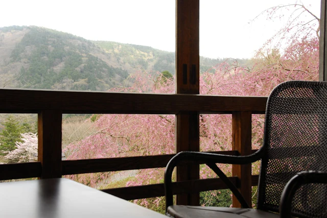 Mikawaya Ryokan