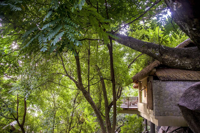 Le Domaine de L'Orangeraie