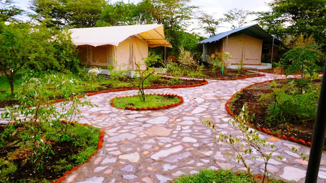 PrideInn Mara Camp & Cottages
